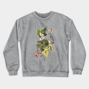 John James Audubon Black & Yellow Warblers Crewneck Sweatshirt